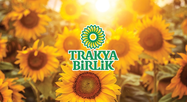 Trakya Birlik Yüzde 40 Yağ Oranlı Ayçiçeği İçin 5.100-TL/Ton Avans Ödemesi