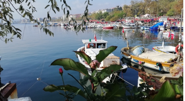 Benim Objektifimden Fotoğraf Yarışması Sonuçlandı