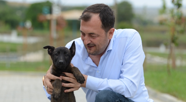 Cüneyt Yüksel: Sokak Hayvanlarımız Bizim Sessiz Dostlarımızdır