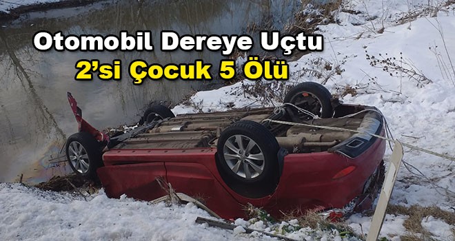 Otomobil dereye uçtu 2’si çocuk 5 kişi öldü