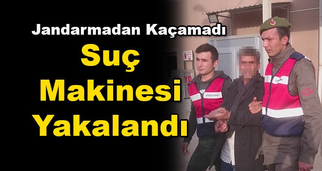 Suç Makinesi Jandarmadan Kaçamadı