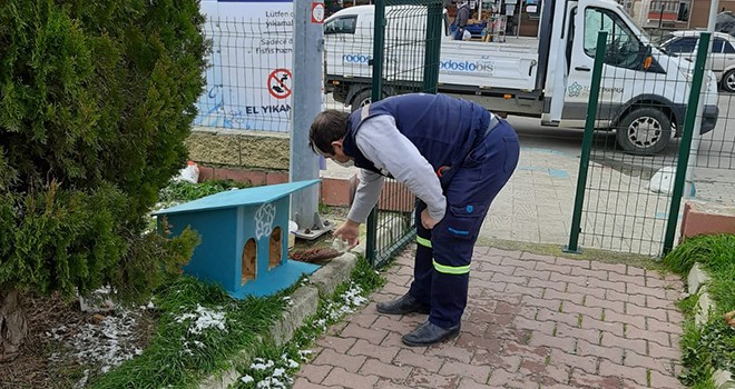 Sokaktaki Canlar Süleymanpaşa Belediyesine Emanet