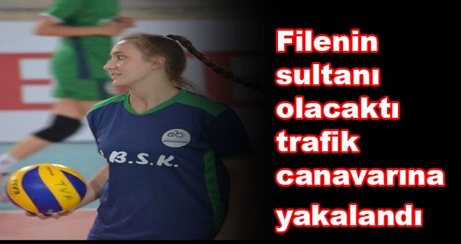 Filenin sultanı olacaktı trafik canavarına yakalandı