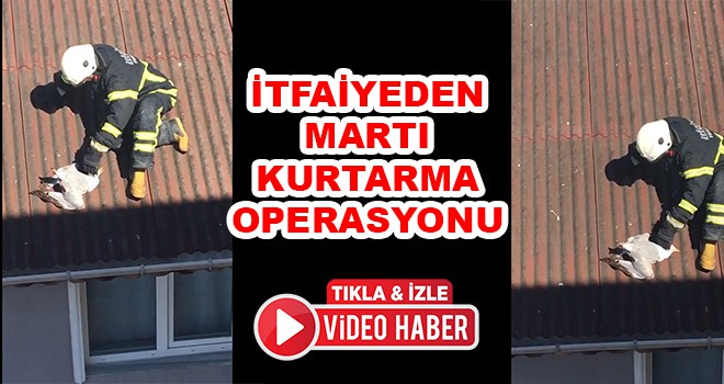 İtfaiyeden Martı Operasyonu