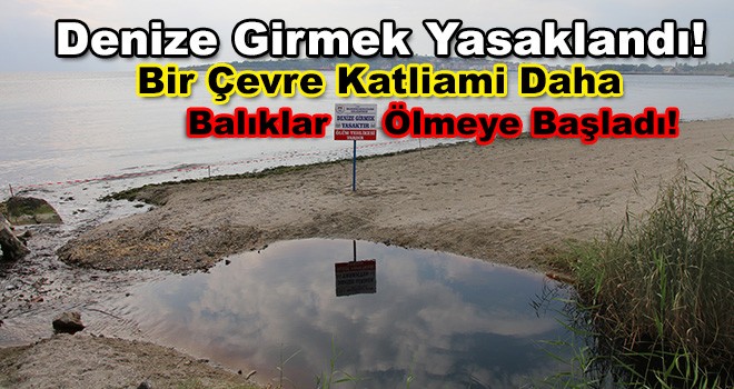 Çevre Katliamı! Denize Girmek Yasaklandı