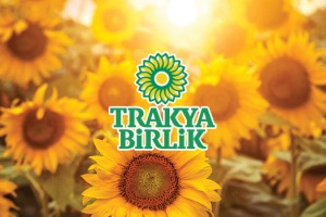 Trakya Birlik Yüzde 40 Yağ Oranlı Ayçiçeği İçin 5.100-TL/Ton Avans Ödemesi