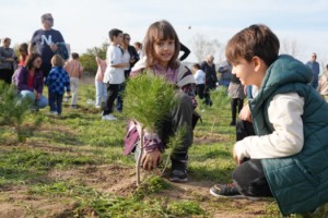 Öğretmenler Ormanı'nda Fidanlar Toprakla Buluştu