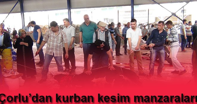 Çorlu'dan kurban kesim manzaraları