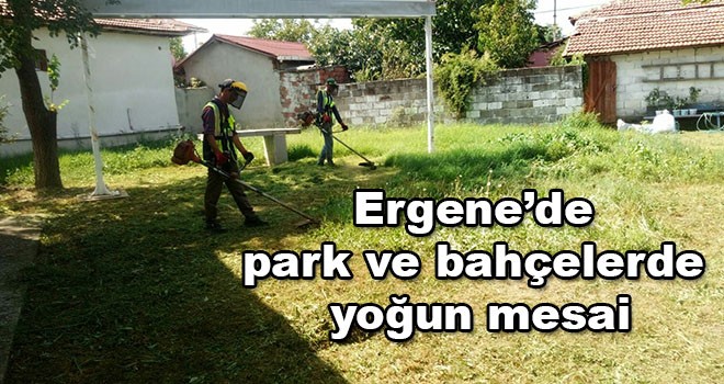 Ergene’de park ve bahçelerde yoğun mesai