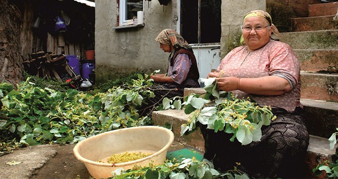 Tekirdağ Büyükşehir Belediyesi’nden Kadın Çiftçiler Günü Etkinliği