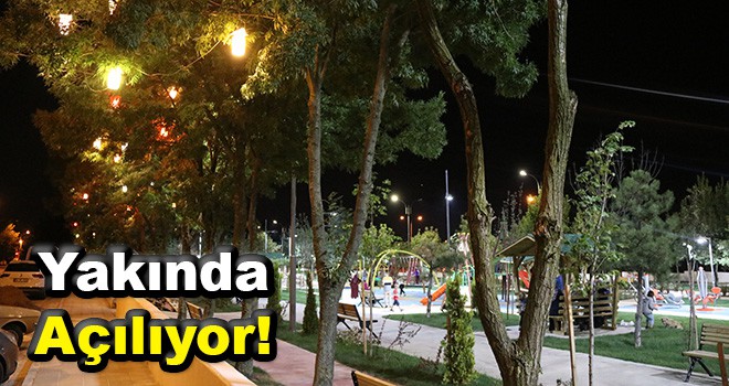 Yüzüncü Yıl ve Gençlik Parkında Renk Cümbüşü Yaşanıyor