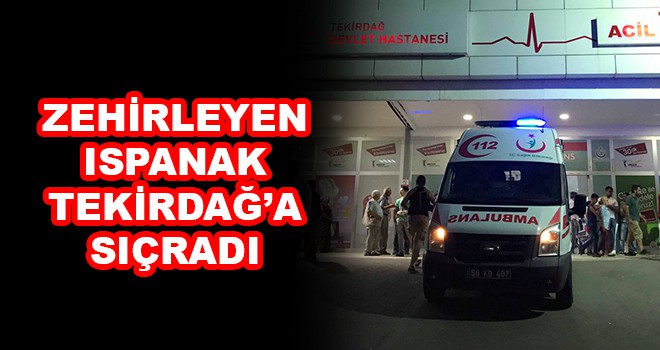 Zehirleyen ıspanak Tekirdağ’a da sıçradı